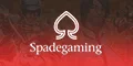 spadegaming by 123sabuy